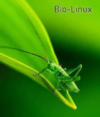 Иконка Bio Linux