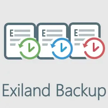 Иконка Exiland Backup Standard 6.1 [Multi Ru]