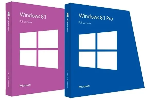 Иконка Microsoft Windows