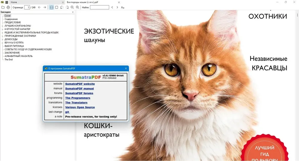 Скриншот 2